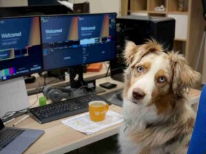 Gaming Space While Enjoying the Company of Pets