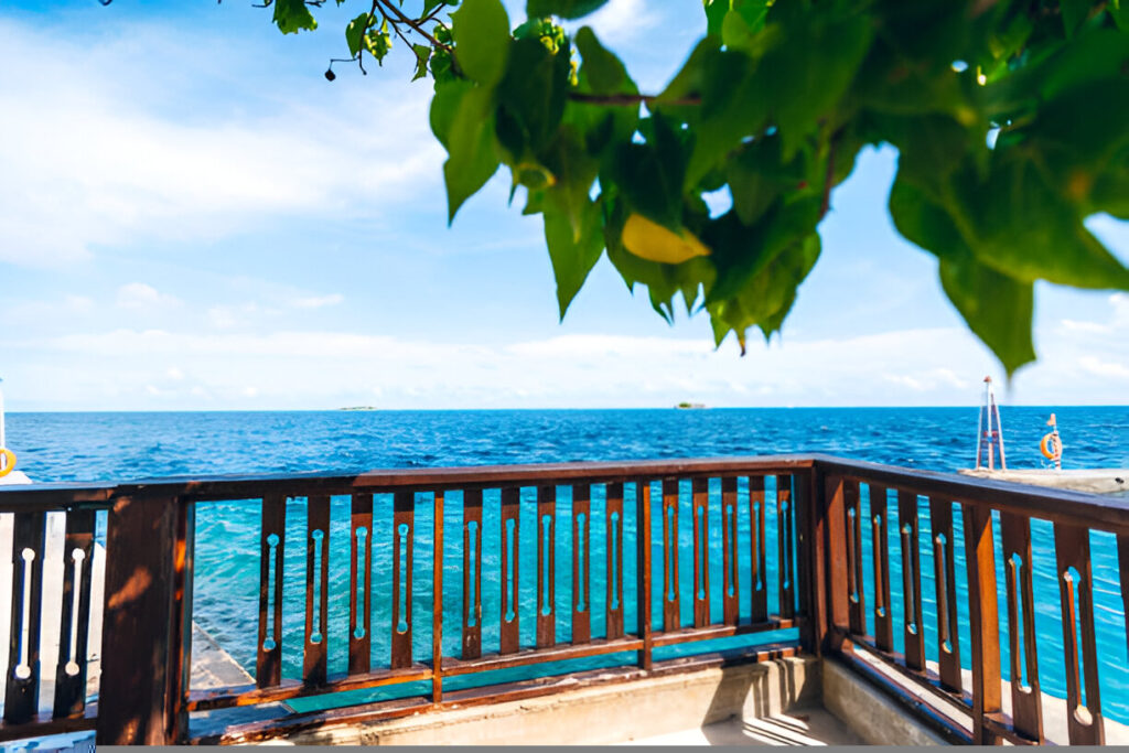 Innovations in Deck Design: Trends and Tips for Creating the Perfect Outdoor Space