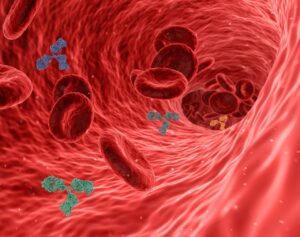 Immune Health and Extends Healthspan