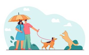 Dog Walking Insurance Covers