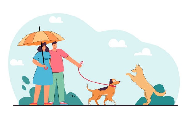 Dog Walking Insurance Covers