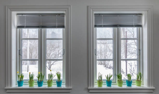 Home Comfort and Efficiency With Window Upgrades