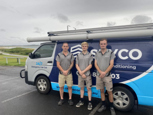 Professional Electrical Services