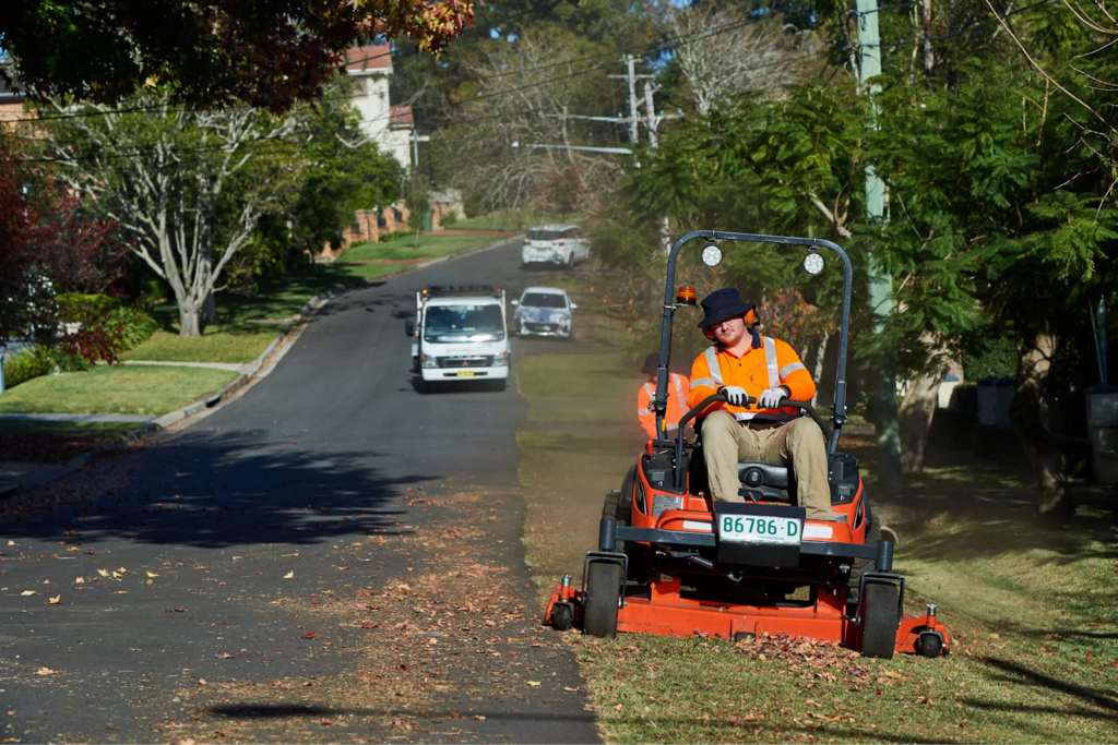Essential Things to Know Before You Remove a Tree on Your Property