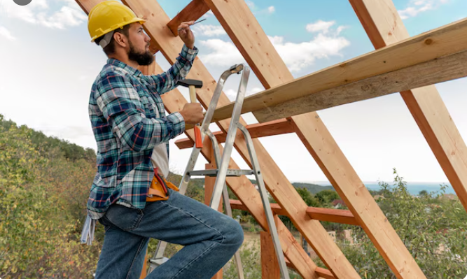 Professional Roofing